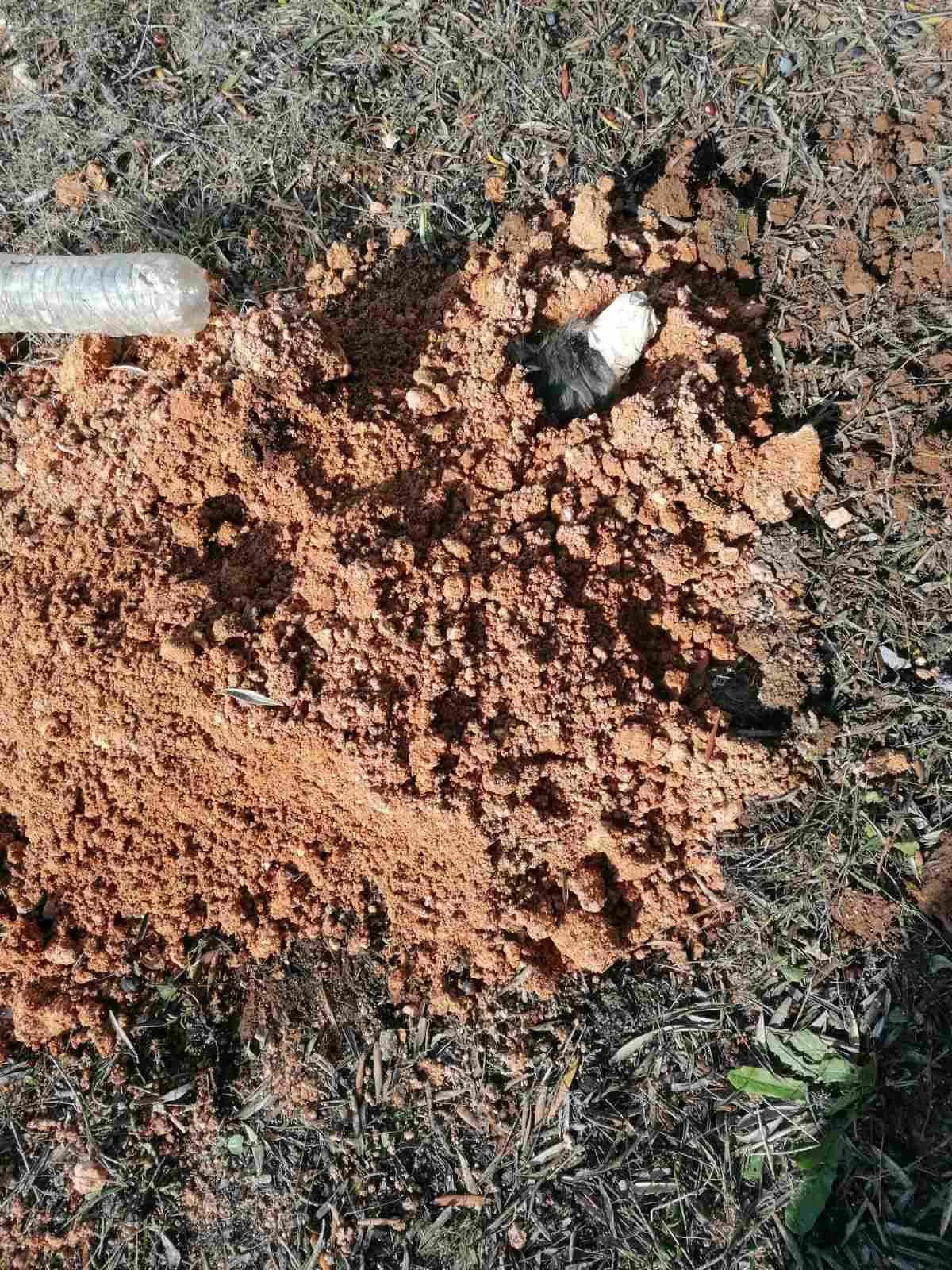 594984356-1252484873688005-6657549719496760036-n.jpg?v=0