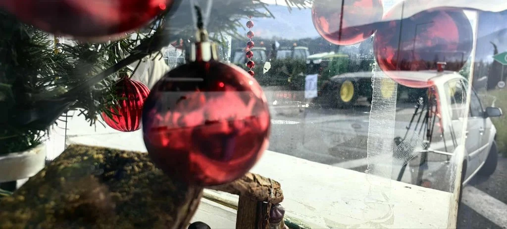 597373817-891379863312781-5178516866741260594-n-1024x463.jpg?v=0