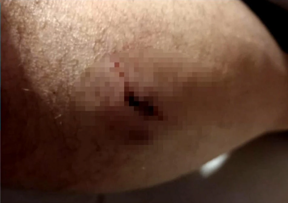 Πηγή: ertnews.gr&nbsp;