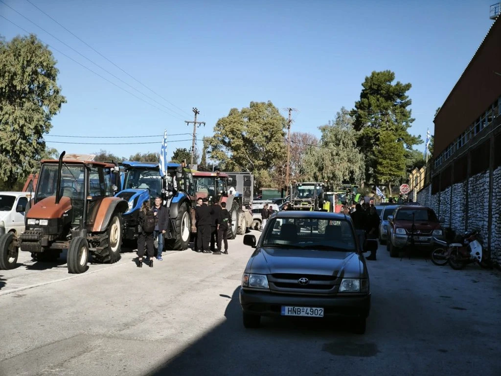 agrotes-2-3-1024x768.jpg?v=0