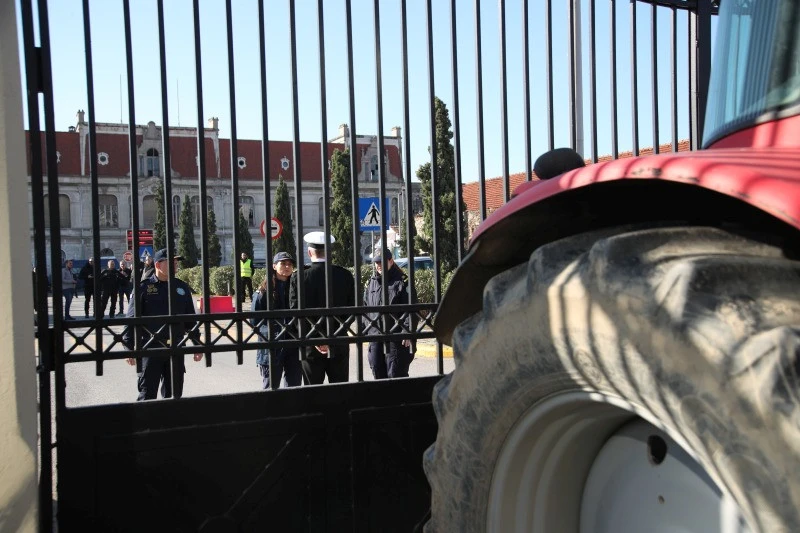 agrotes-limani-thessalonikis2.jpg?v=0