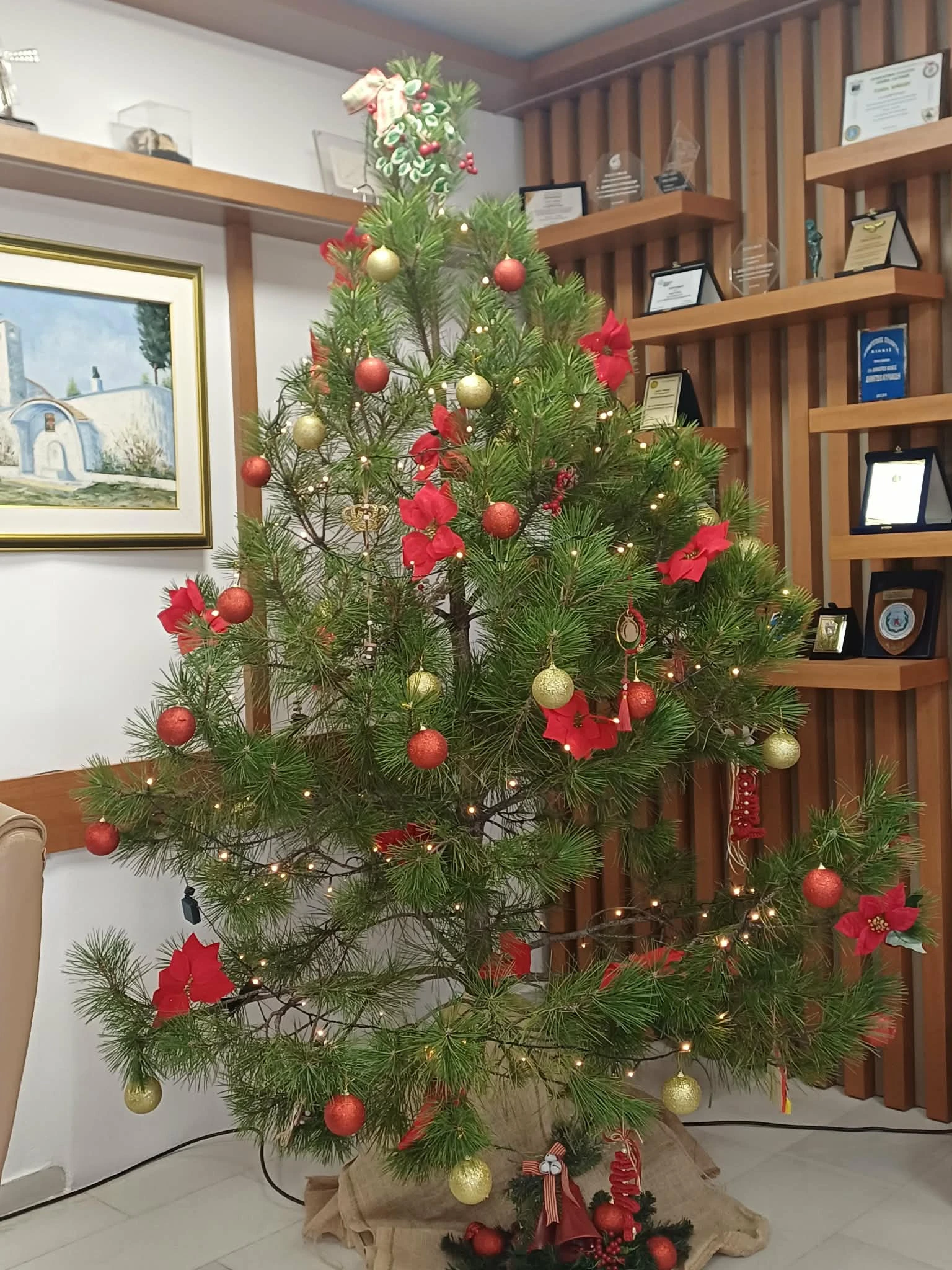 christugenniatika-dentra-apo-ti-dimotiki-kinotita-kilkis-1.jpg?v=0