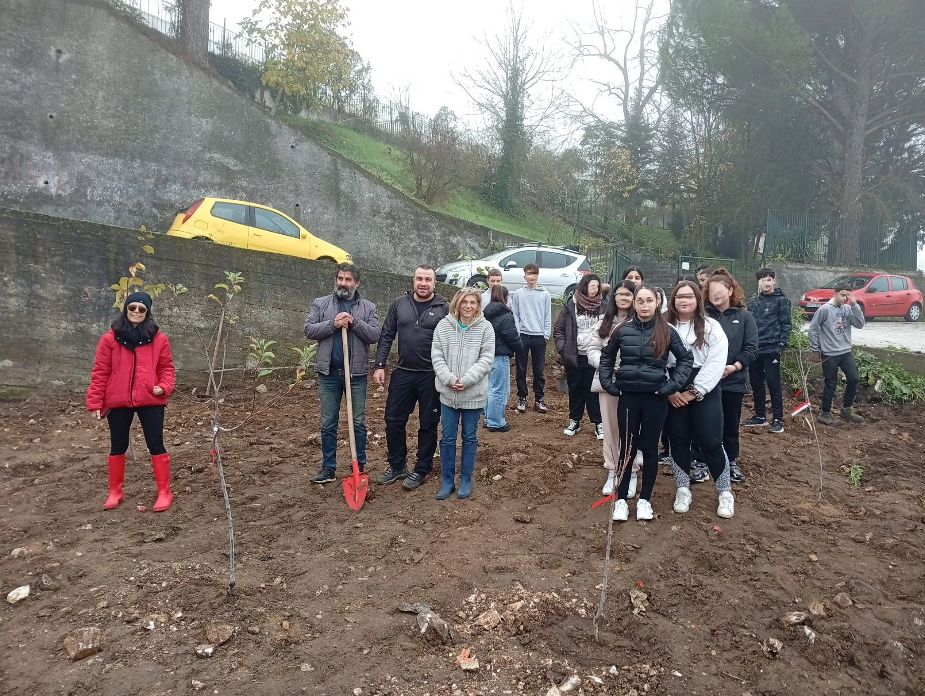 dentrofytefsi1.jpg?v=0