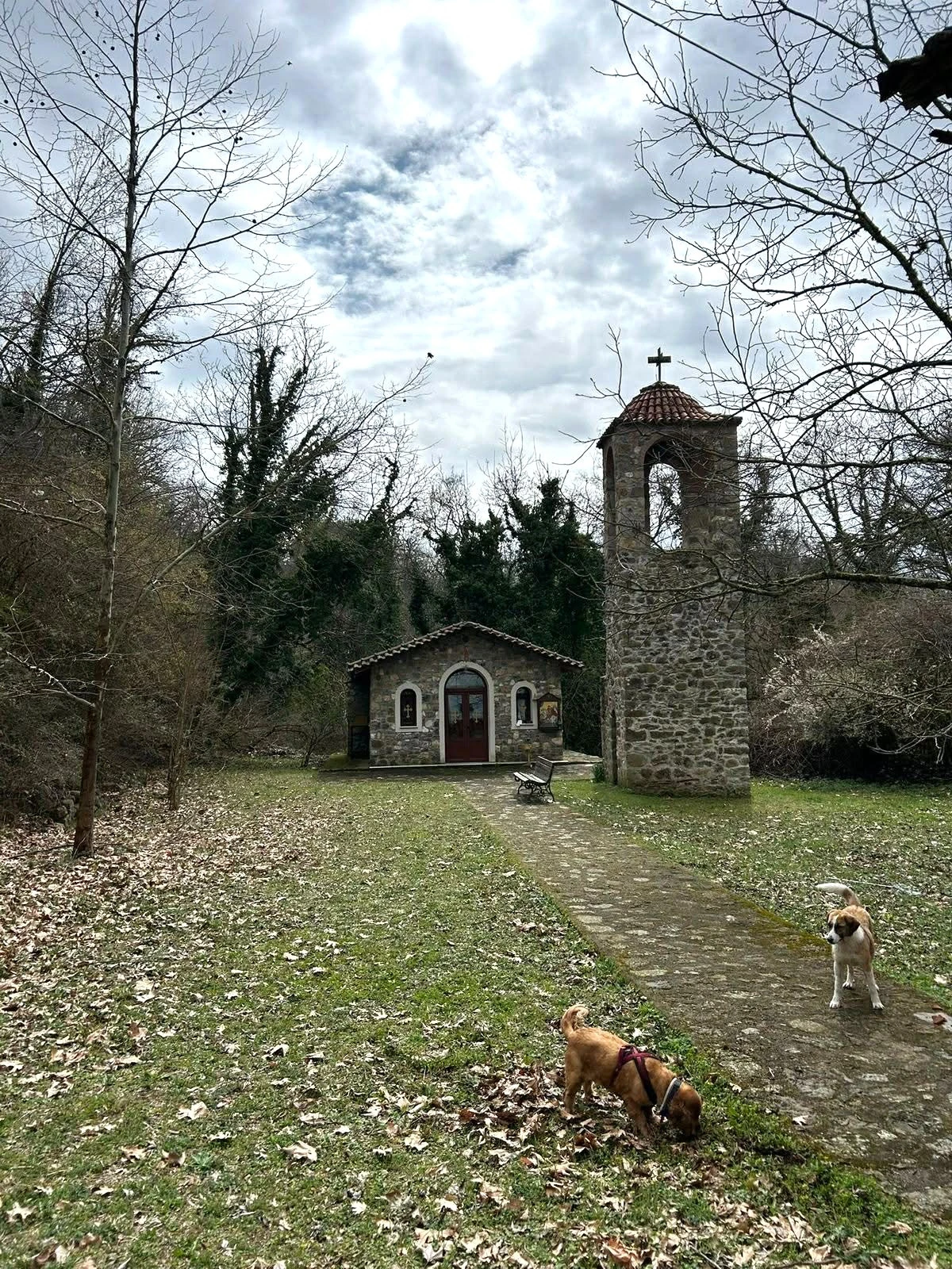 katokaryofyto9.jpg?v=0