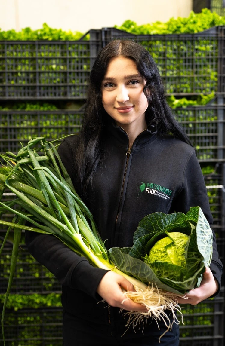 mesogeios-10.jpg?v=0