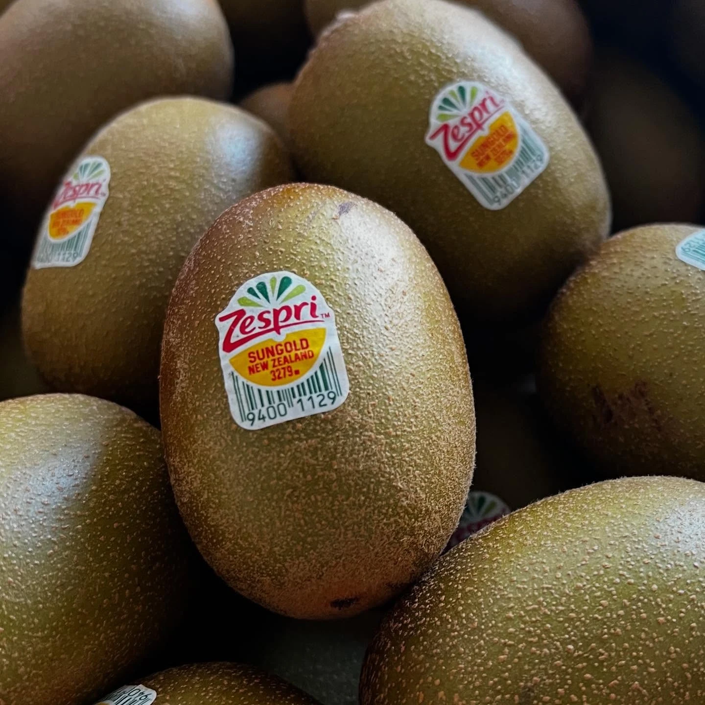 mesogeios-12.jpg?v=0