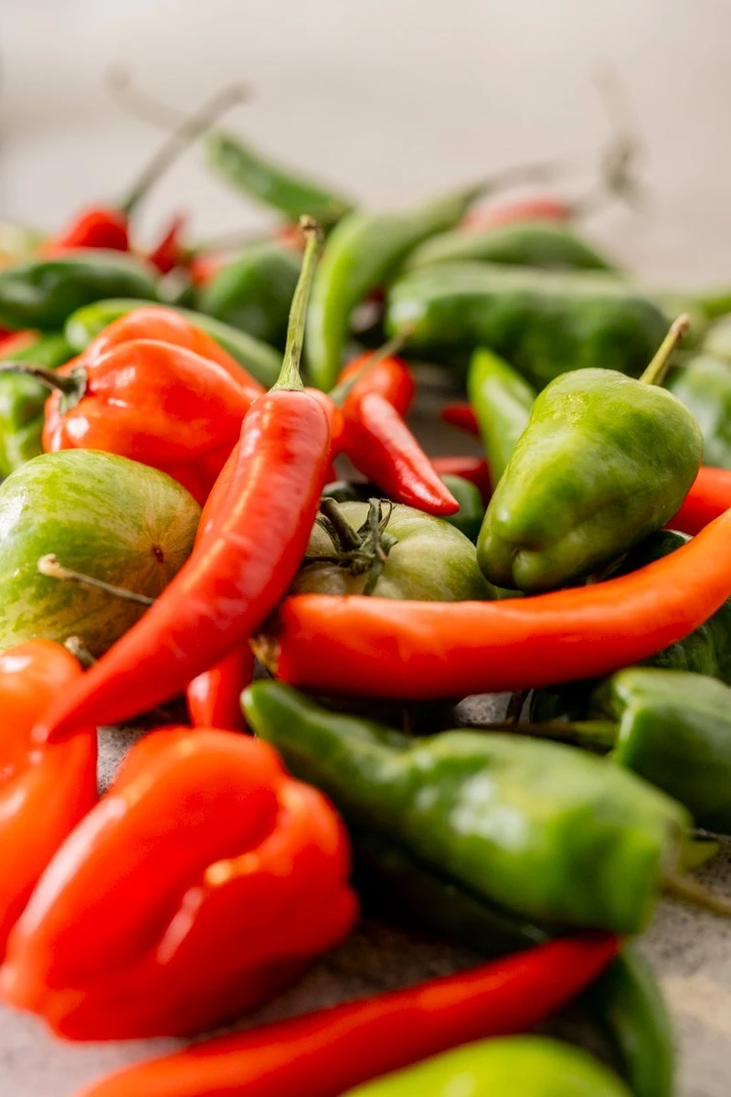 mesogeios-15.jpg?v=0