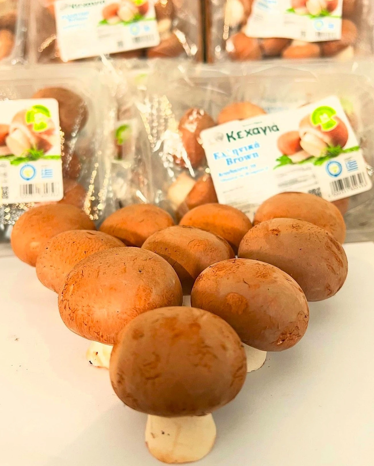 mesogeios-16.jpg?v=0