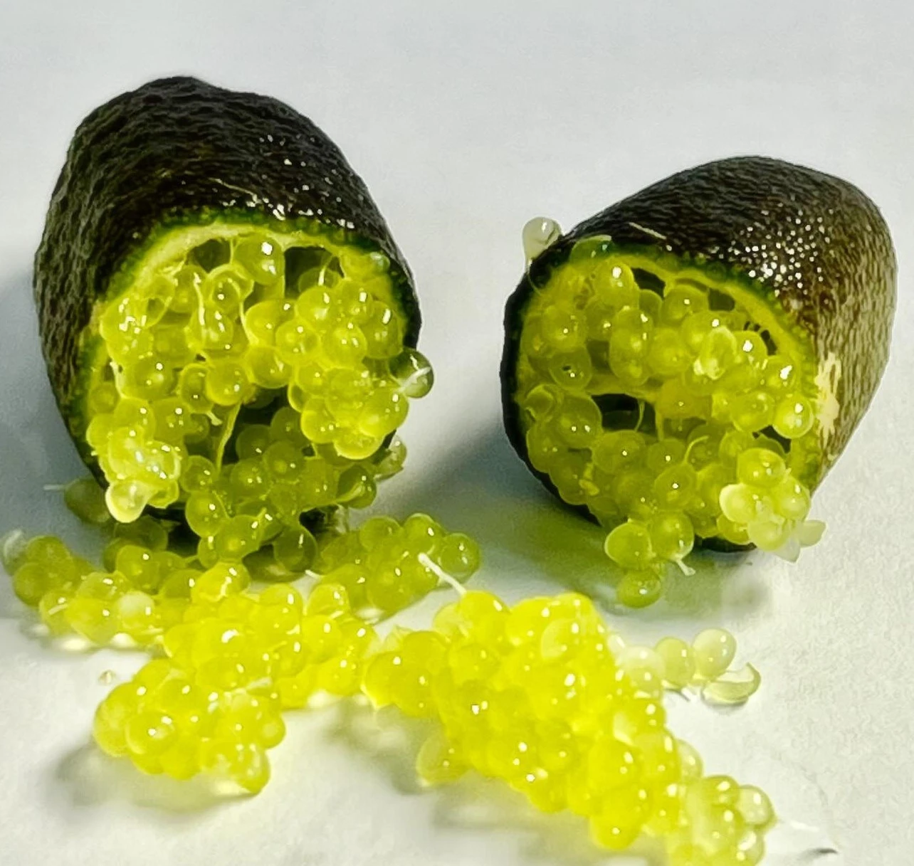 mesogeios-17.jpg?v=0