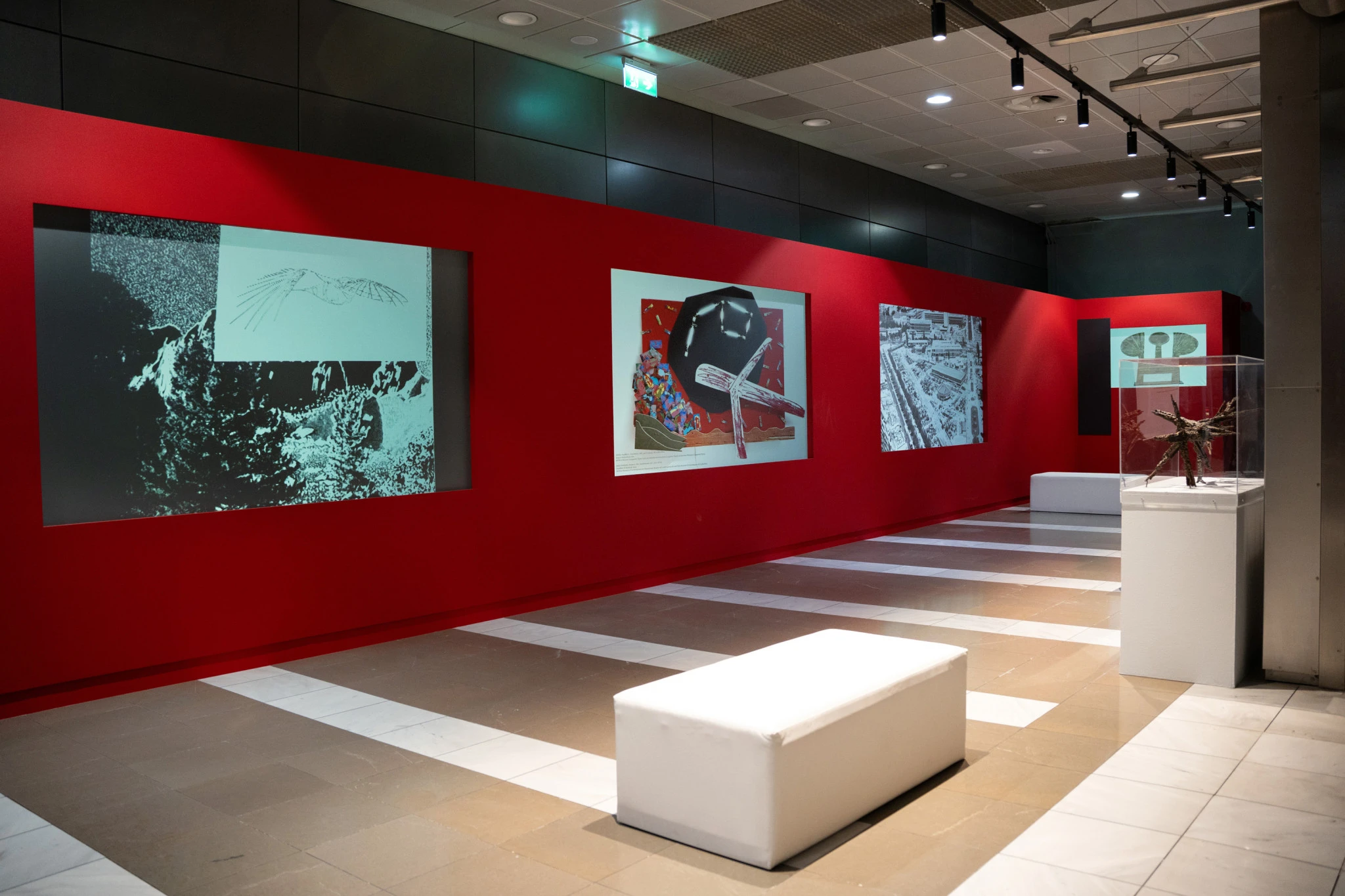 momus-air-2-1.jpg?v=0