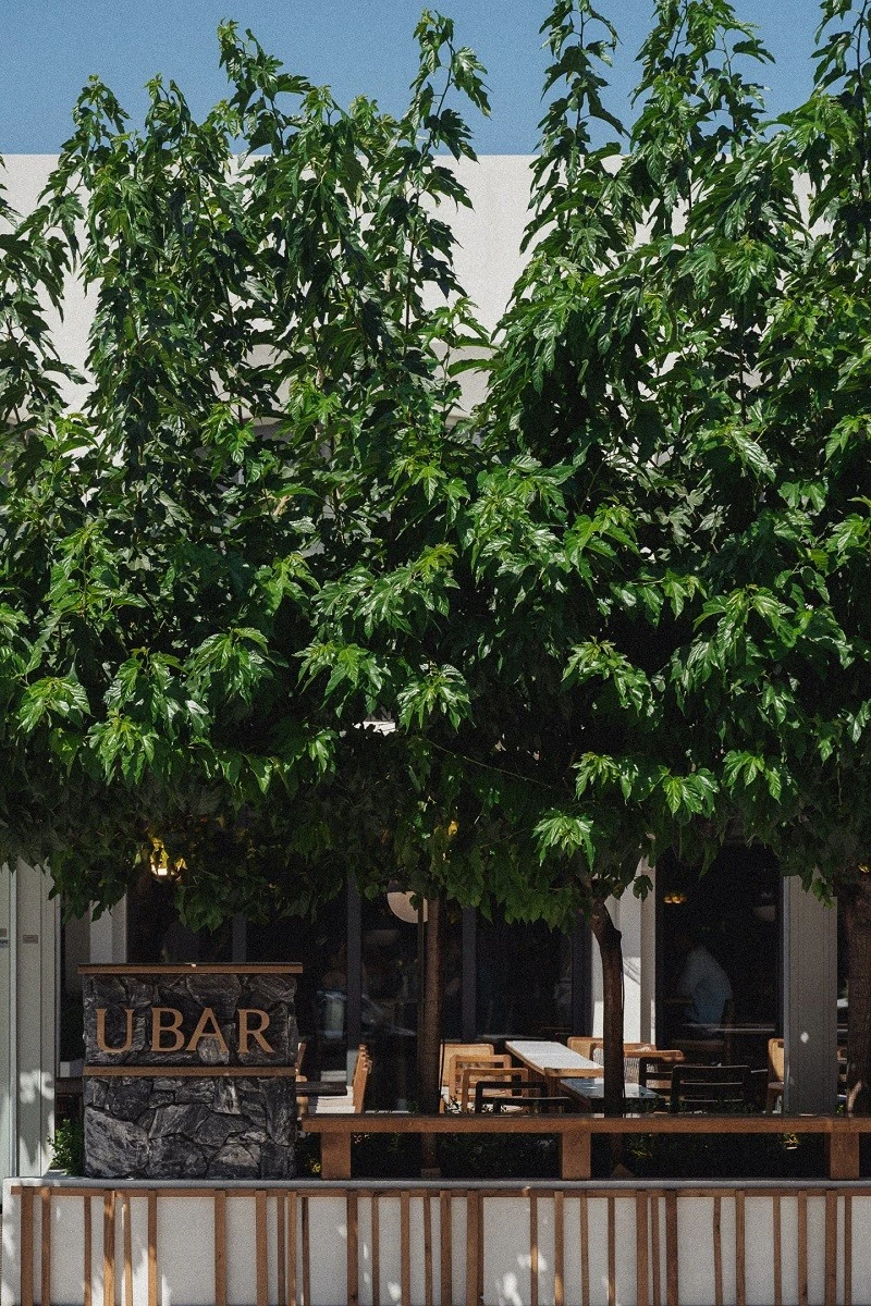 u-bar-project-2.jpg?v=0