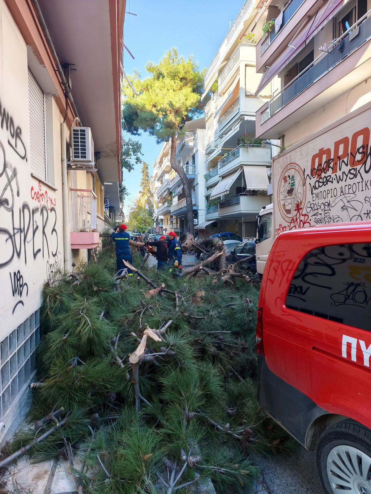 xarilaou-dentro-2.jpg?v=0