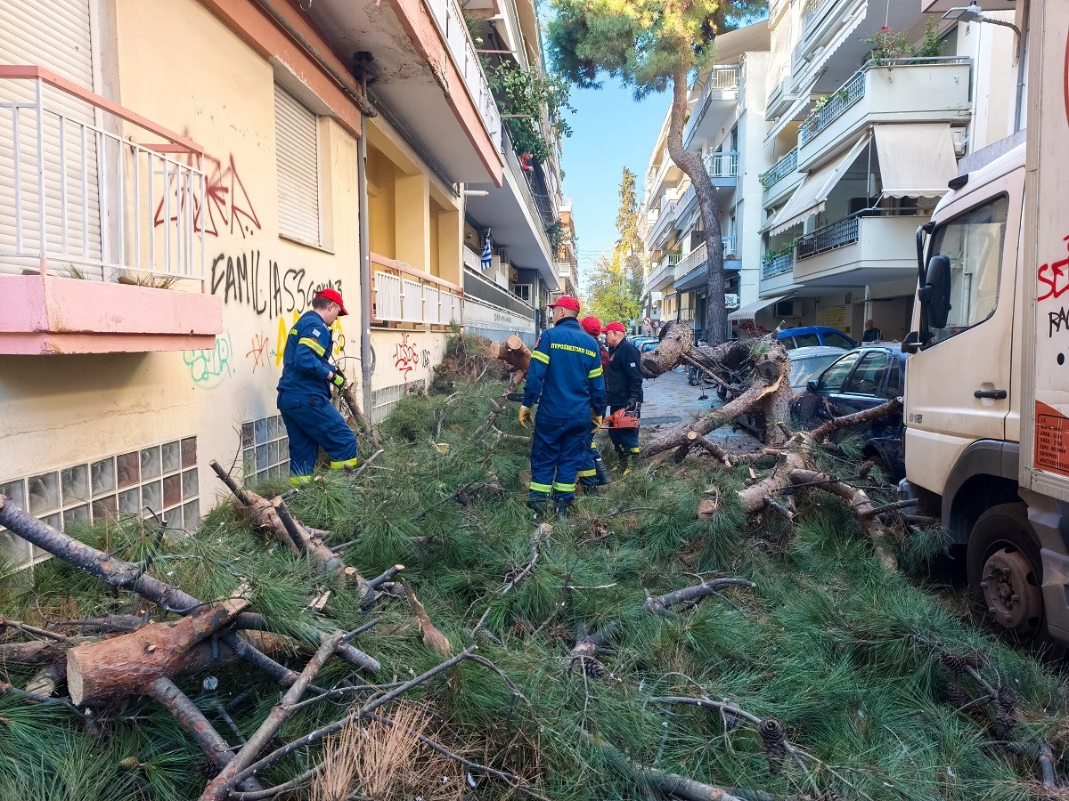 xarilaou-dentro-3.jpg?v=0