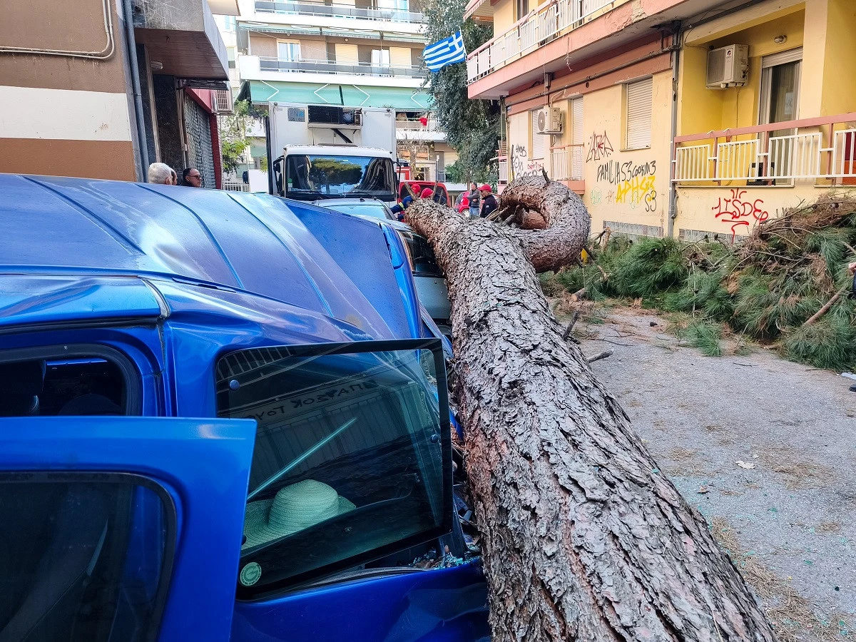 xarilaou-dentro-4.jpg?v=0