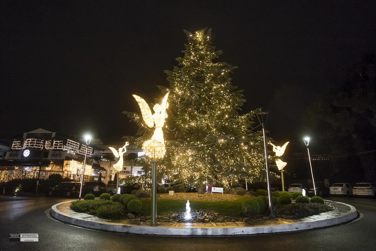 xristougenniatiko-dendro-dimou-pylaias.jpg?v=0