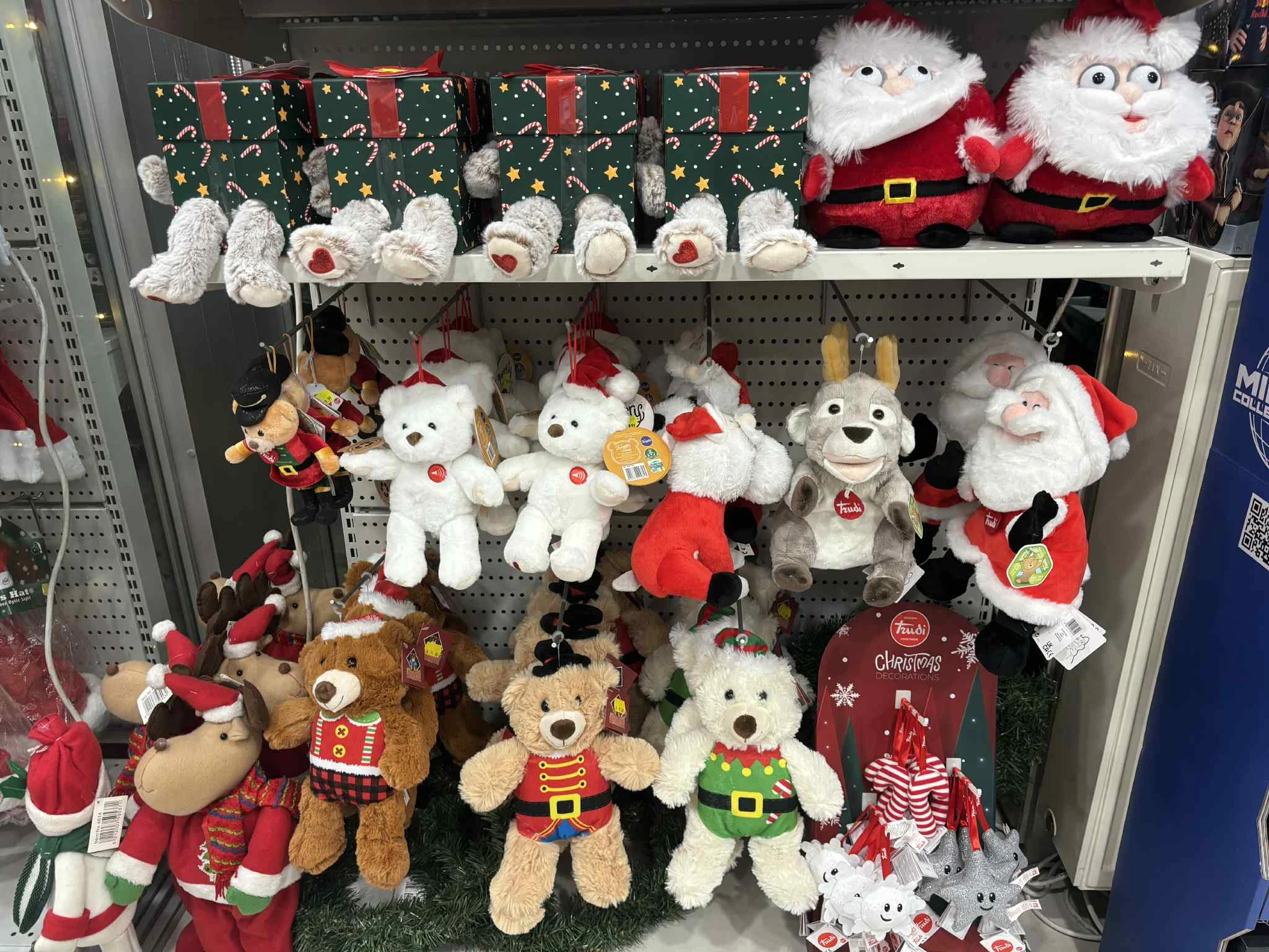 3d0f7035-90d5-4510-b9ba-e50dc96e0f2a.jfif