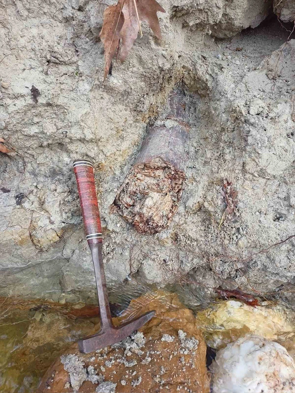 599927721-1175626894746863-5081496699733410116-n.jpg?v=0