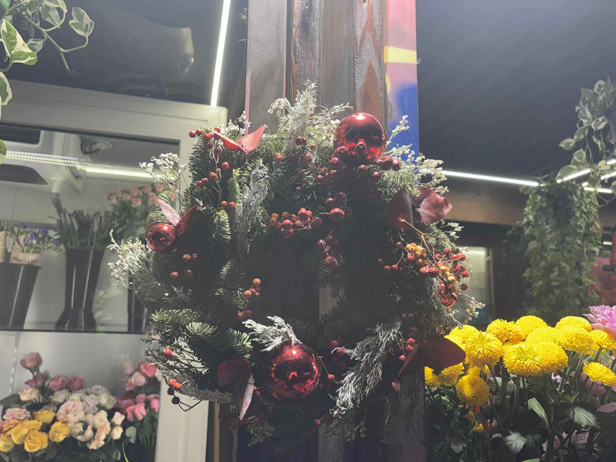 6aac3deb-040d-4ca7-a223-992107e0b59f.jfif?v=0