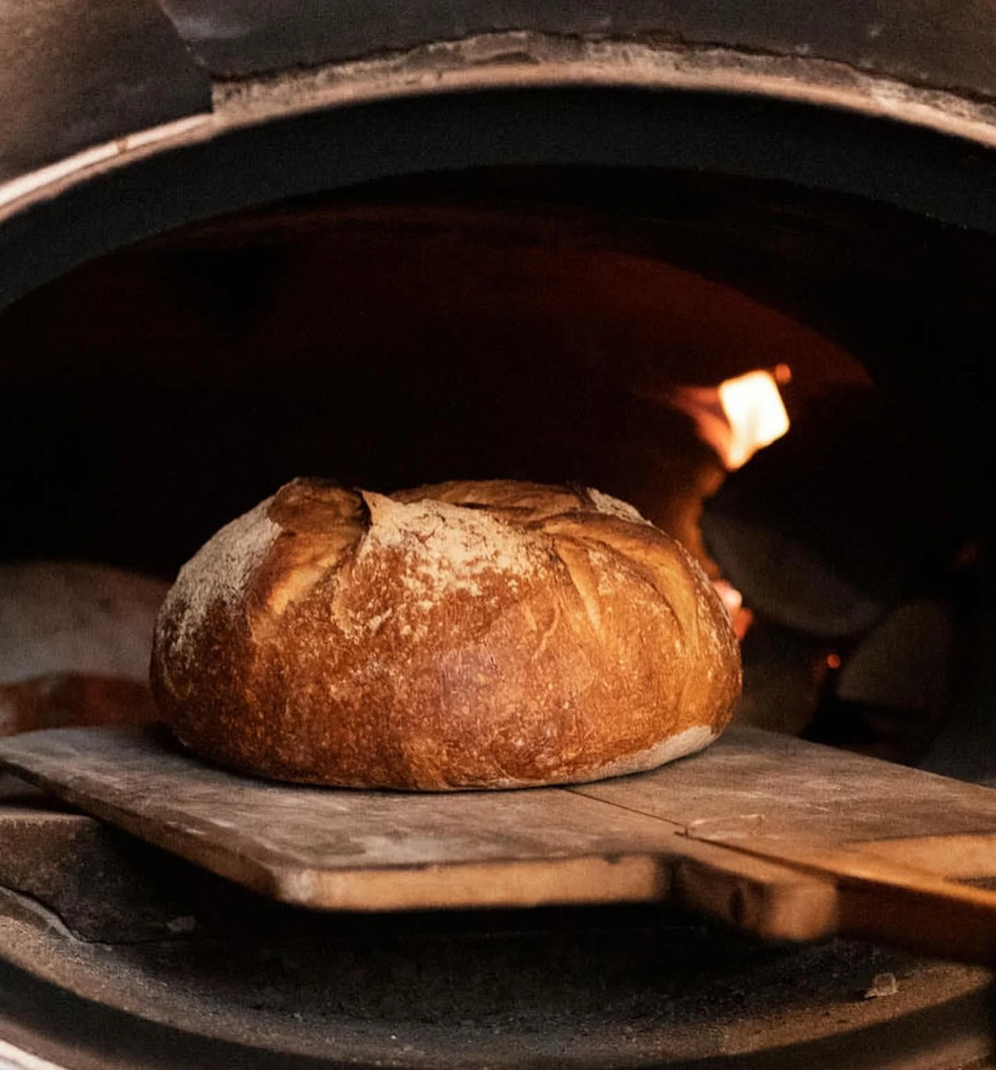 ble-taste-gallery-4.jpg?v=0