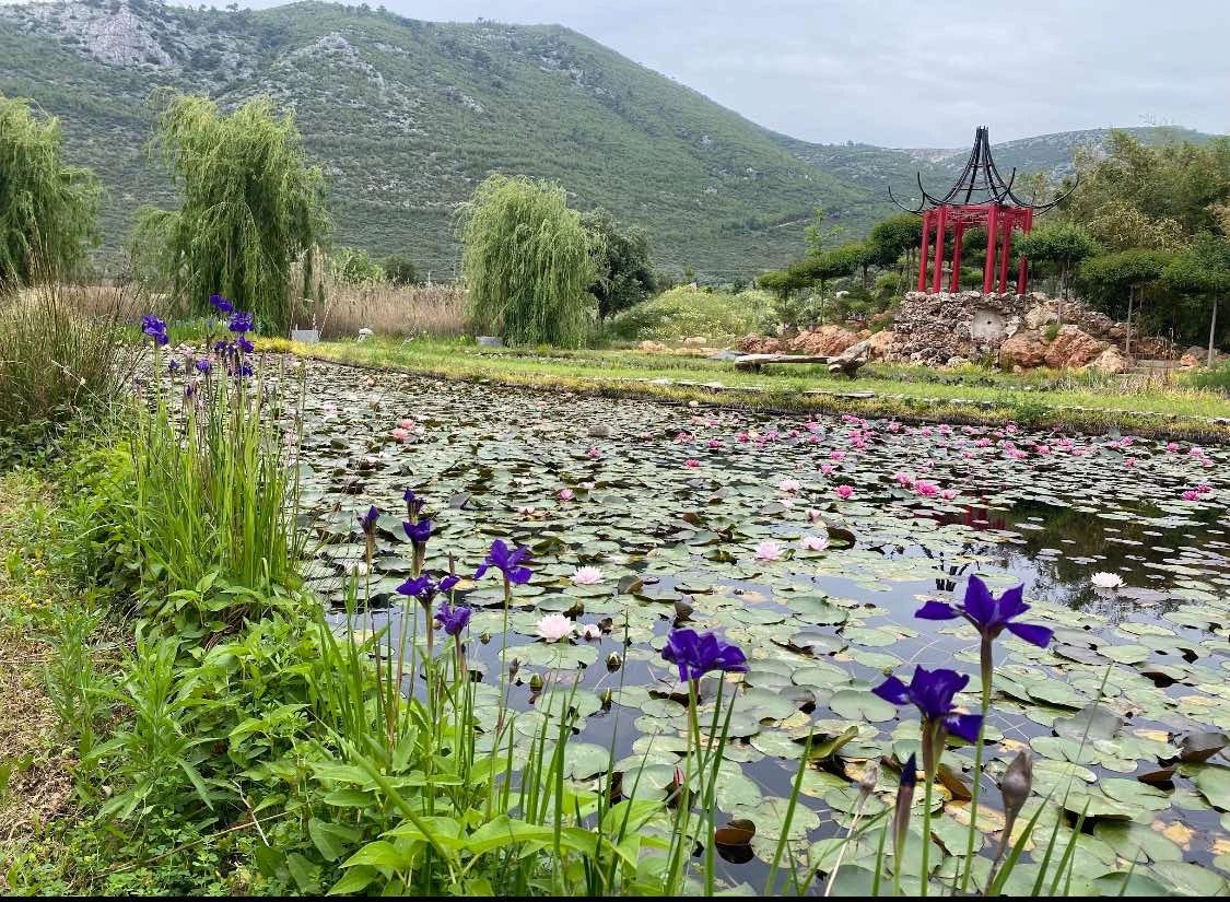 Ιαπωνικού τύπου κήπος στα πρότυπα του οποίου γίνεται η ανάπλαση στον Κήπο του Νερού
