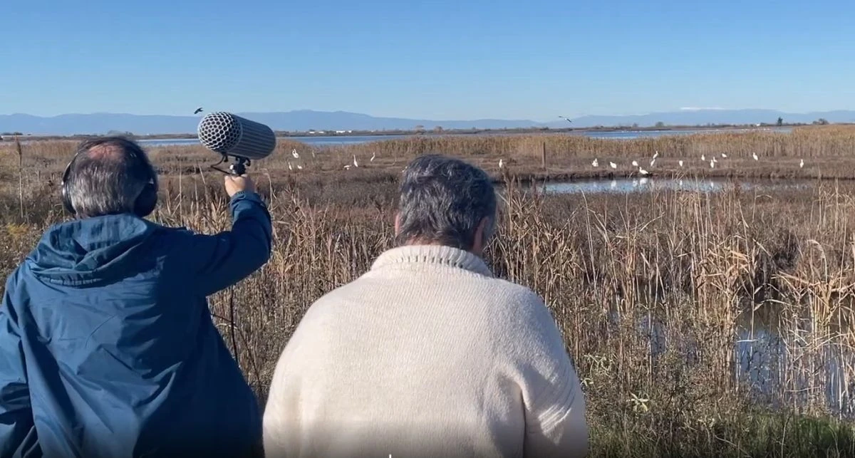 ixoi-delta-axiou-limni-orestiada-kastoria-panepistimio-dytikis-makedonias003812025.jpg?v=0