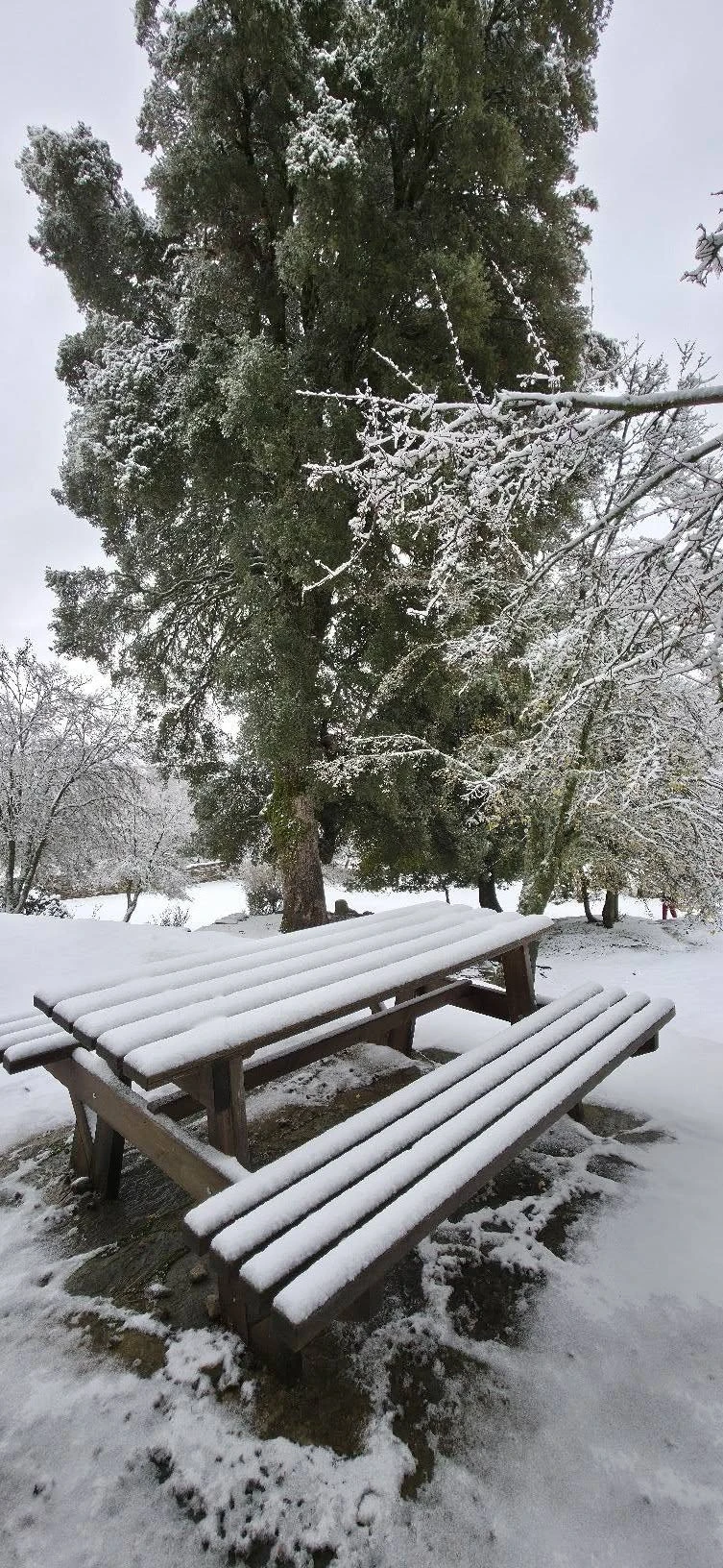 Άγιος Υάκινθος – Μετεωκρήτες