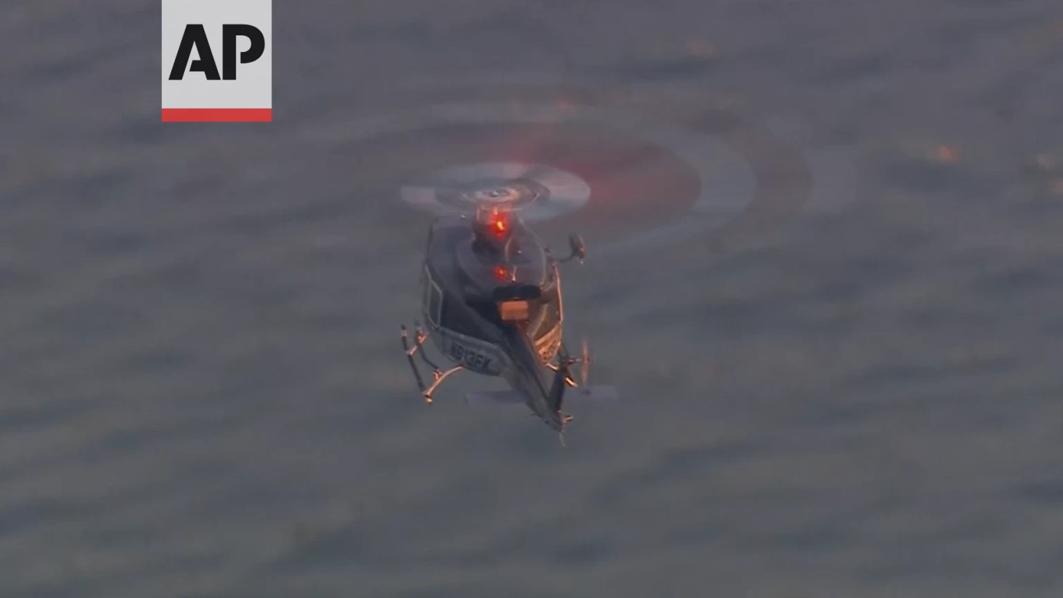 metagwgi-maduro.png?v=0