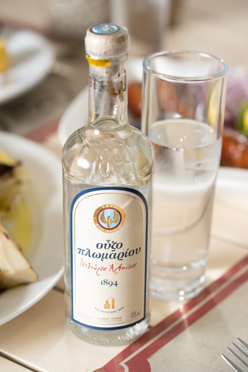 ntarntana-florina-24.jpg?v=0