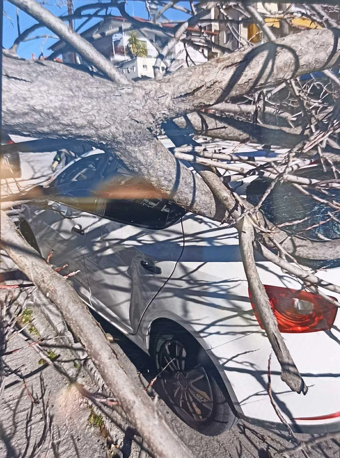 palaiokastro-dentro-02.jpg?v=0