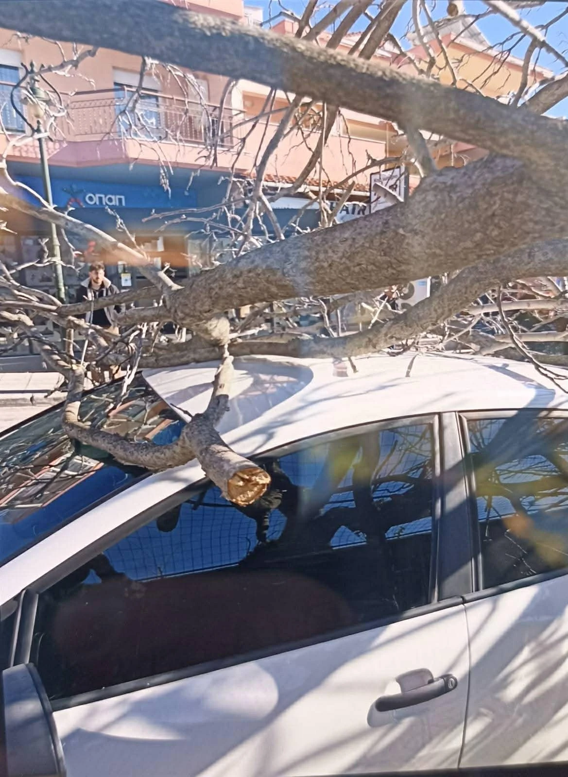 palaiokastro-dentro-04.jpg?v=0