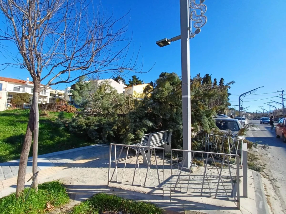 Δέντρο στο κέντρο στα Πεύκα - Πηγή: https://www.facebook.com/photo/?fbid=122247182558259917&set=gm.1654338738878949&idorvanity=834697540843077