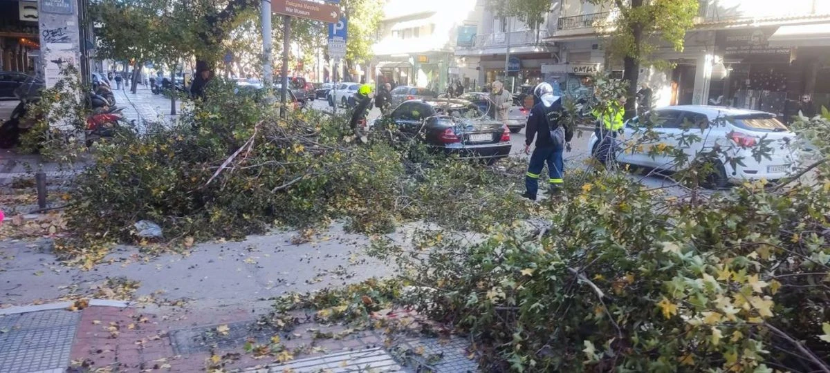 Κλαδιά στη Β. Γεωργίου - Πηγή φωτογραφίας: https://www.facebook.com/photo?fbid=33085271557754859&set=pcb.33085272697754745