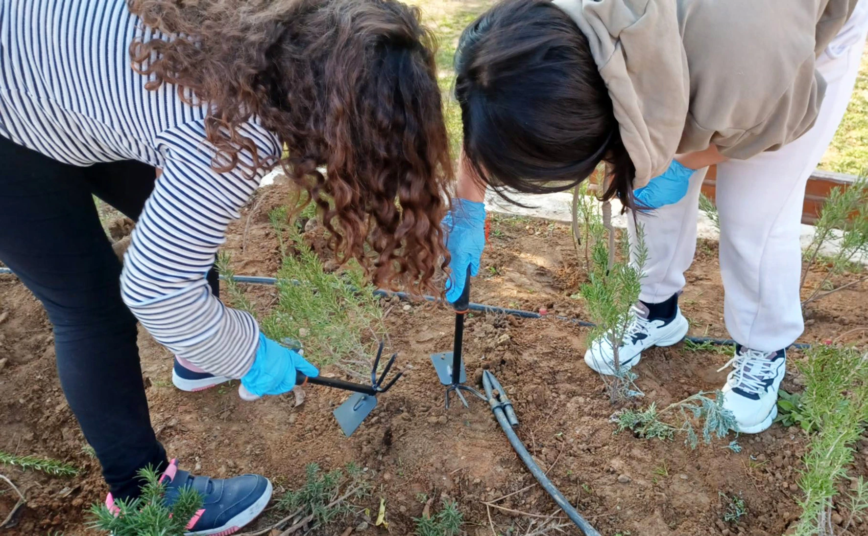 roymanika-pyxida-13.jpg?v=0