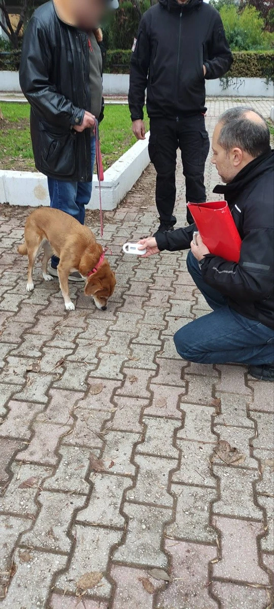 2026-01-12-foto-zoa-4.jpg?v=0