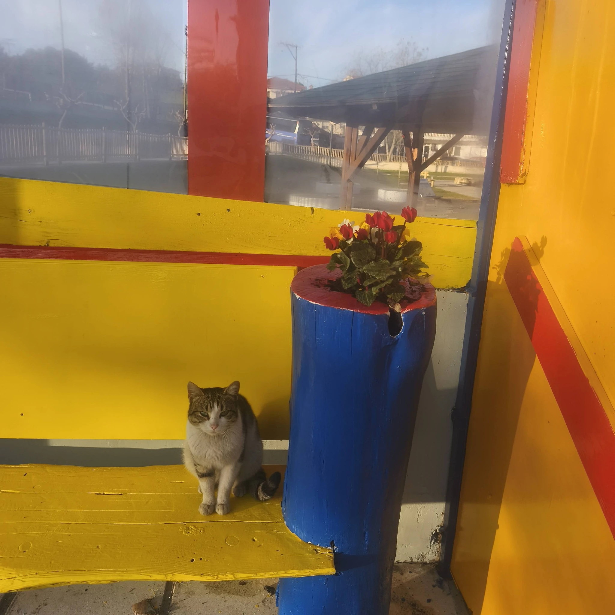 615878557-25659325137056730-1555510972700019241-n.jpg?v=0