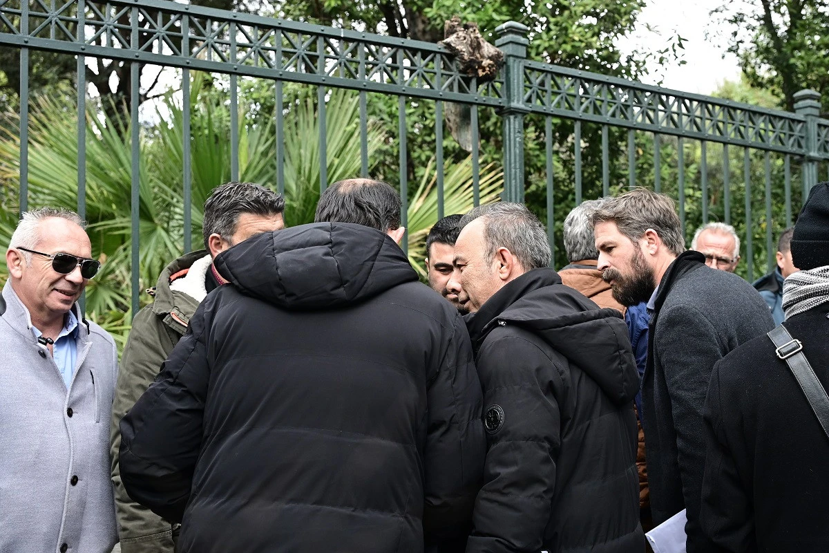 agrotes-maximou-2.jpg?v=0