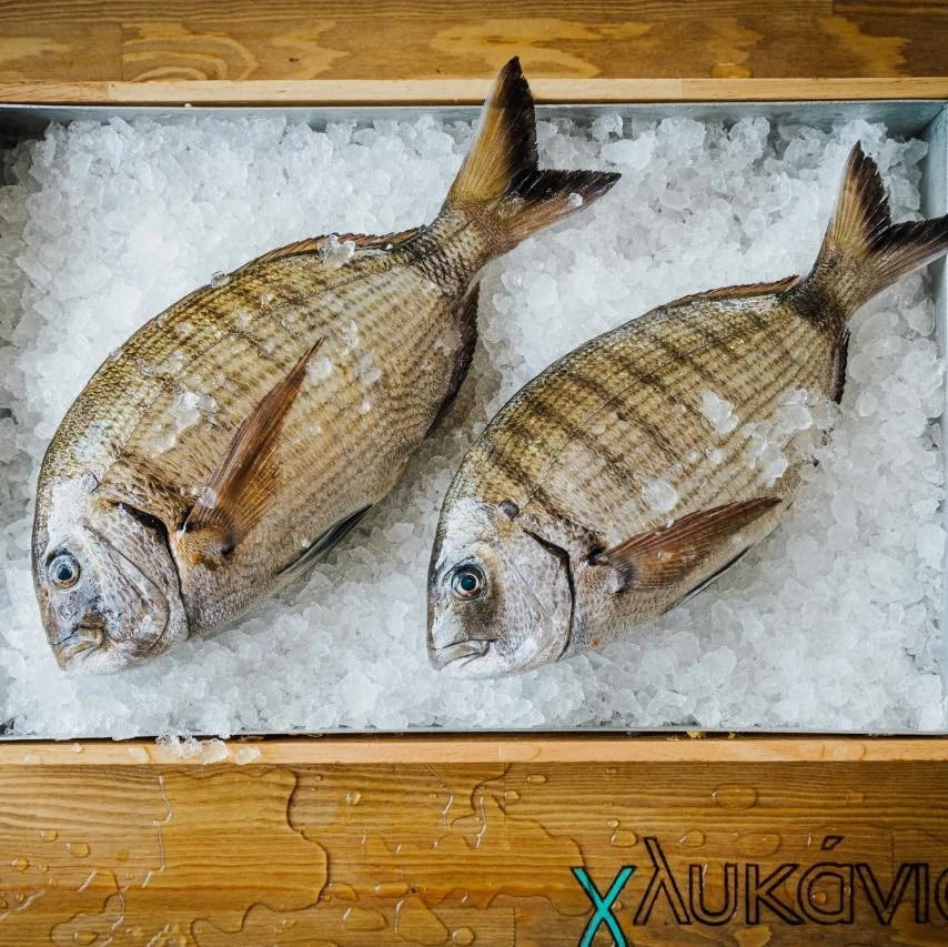 glykanisos-5.jpg?v=0