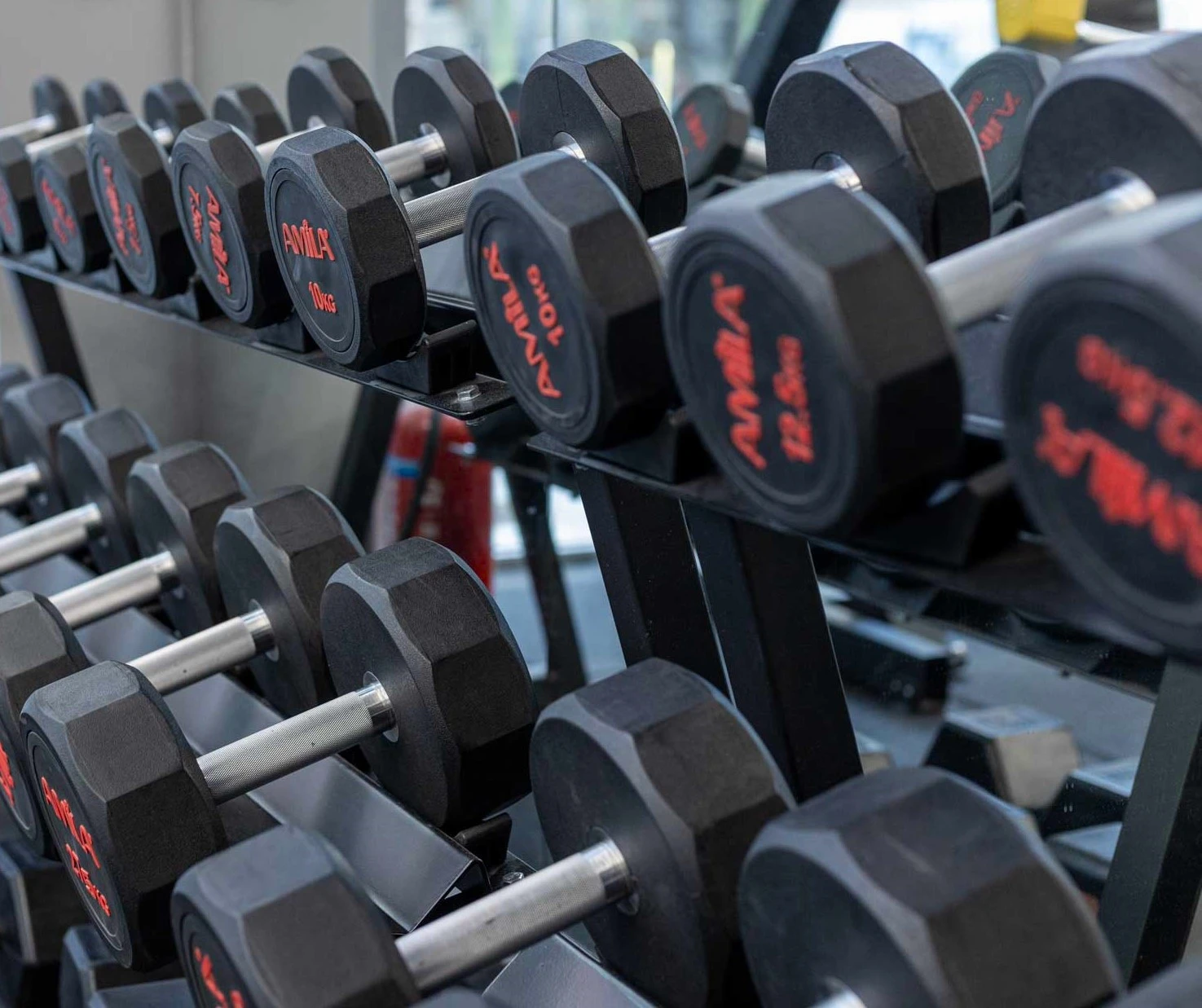 hypertrophy-club-17.jpg?v=0