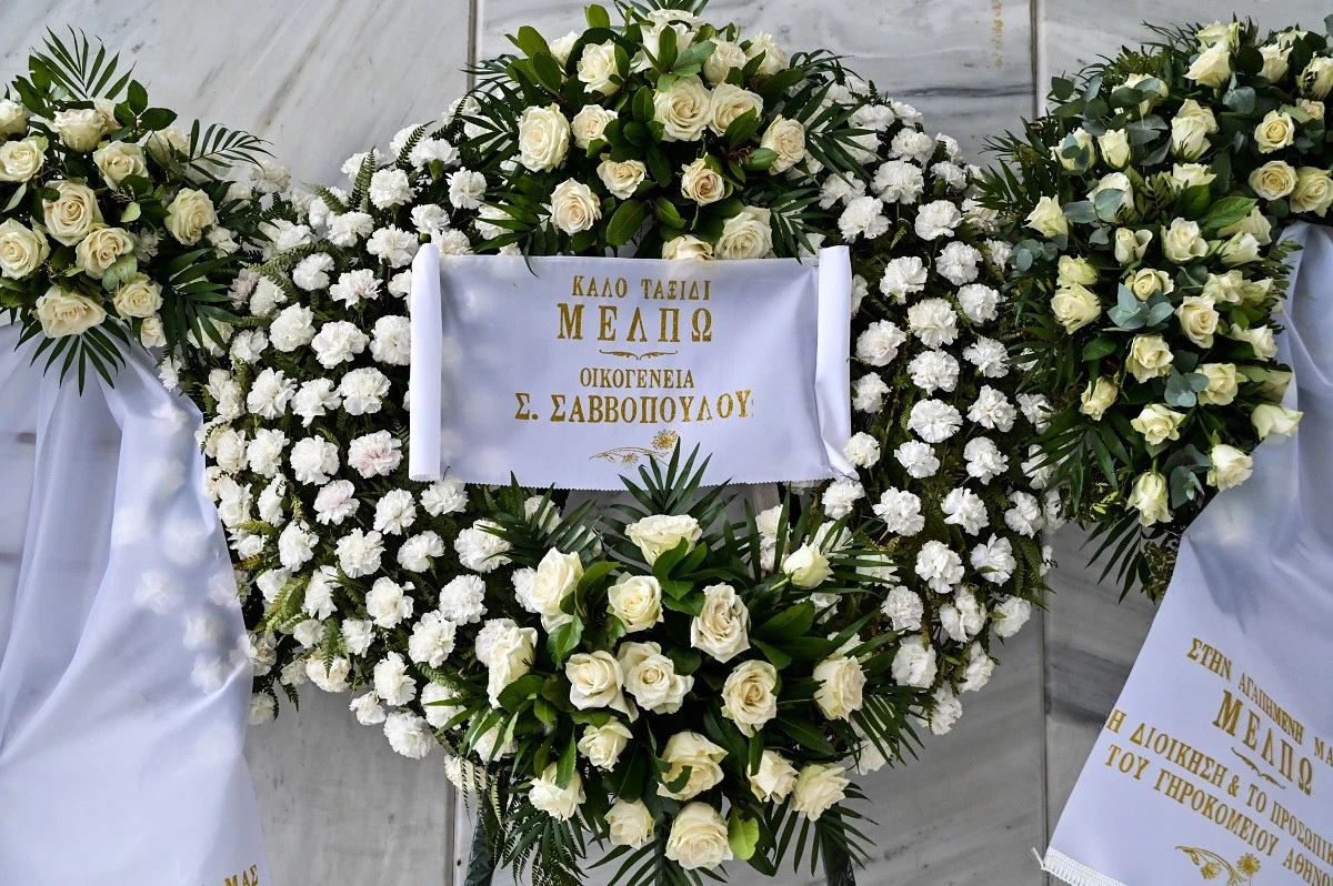 kideia-zarokosta-3.jpg?v=0