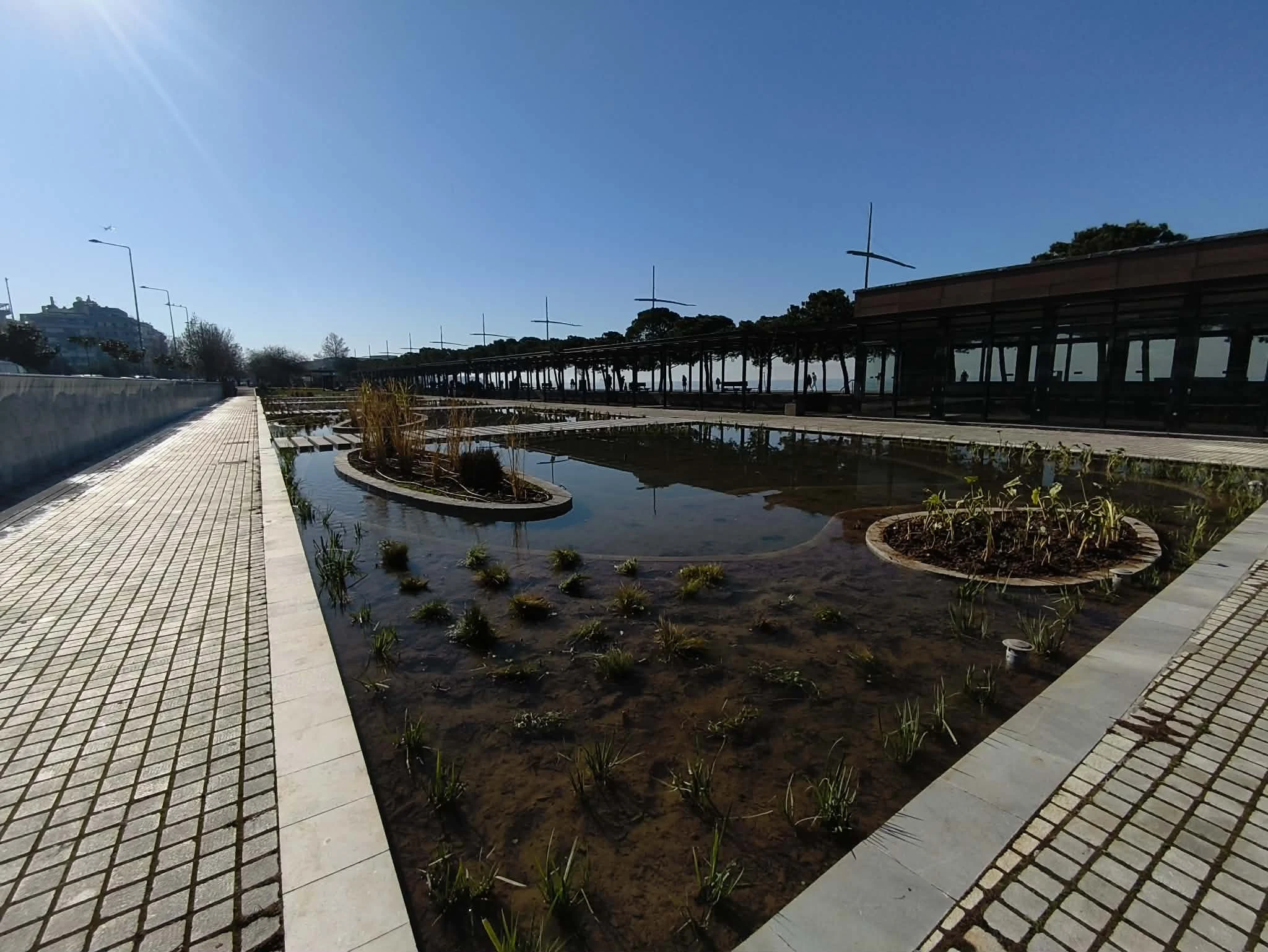 kipos-nerou-13.jpg?v=0