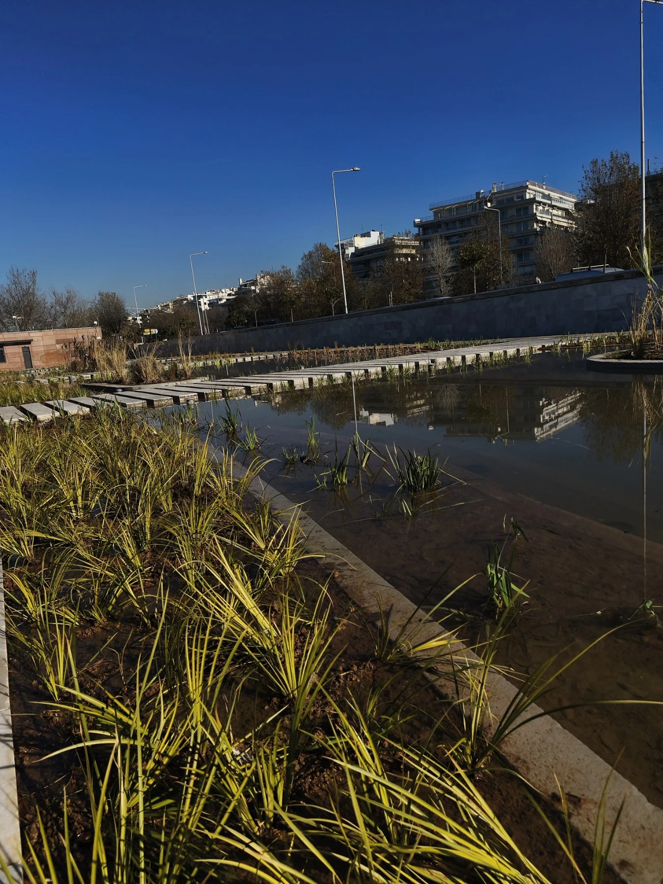 Οι ίριδες του ανανεωμένου Κήπου του Νερού