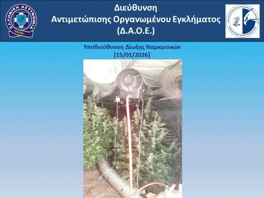 narkotika-rodos-katasxesi-1.webp?v=0