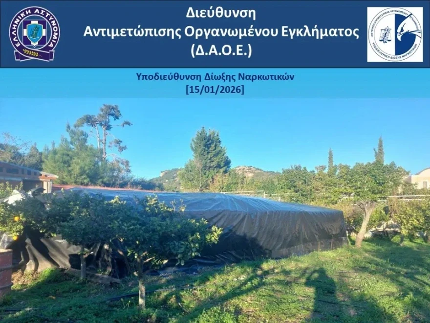 narkotika-rodos-katasxesi-3.webp?v=0