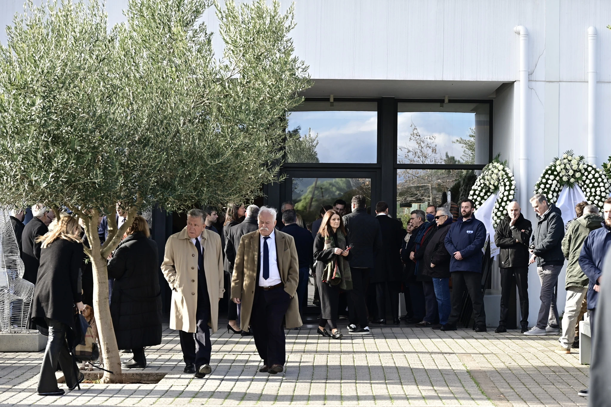 papadakis-kidia-1-4k0Te.jpg?v=0