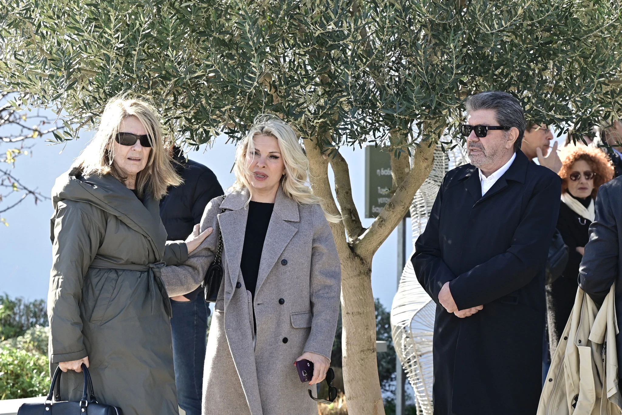 papadakis-kidia-9.jpg?v=0