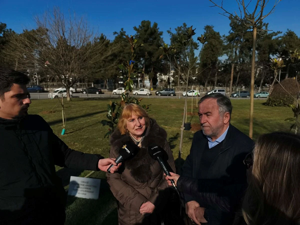 parko-anamniseon-4.jpg?v=0