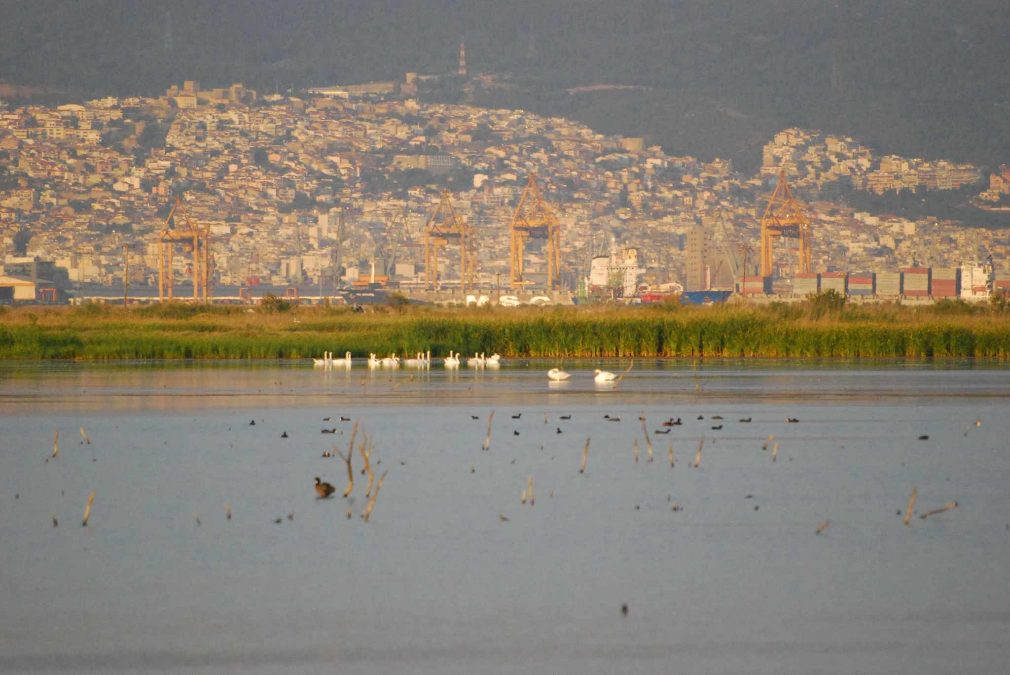 4-limnothalassa-kalochorioy-panaghiotopouloy.jpg?v=0