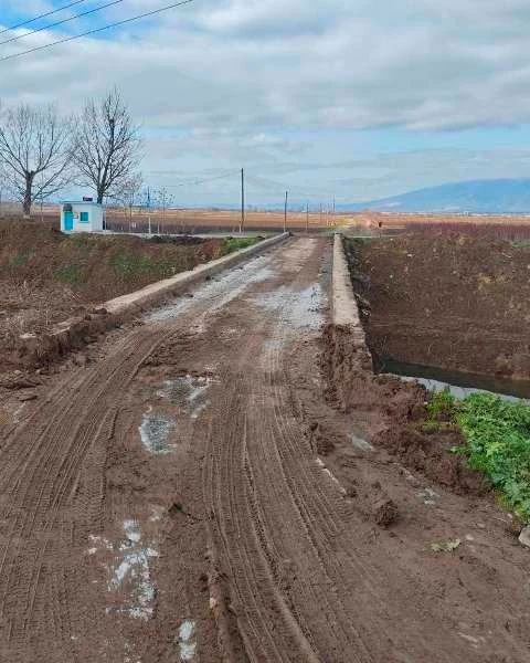 619695071-1211103411206871-3345236950184900372-n.jpg?v=0