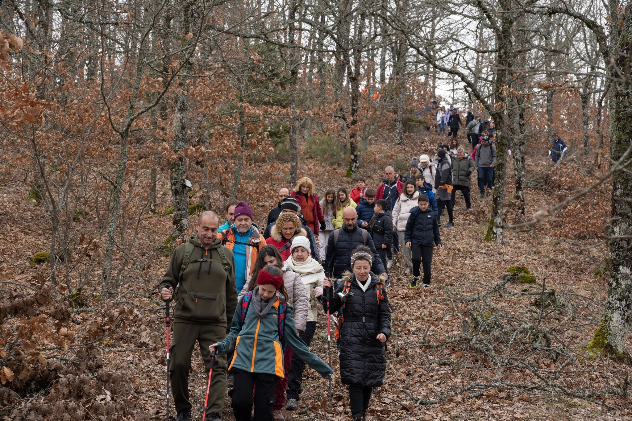 621802279-122257938158167901-1210836764538320386-n.jpg?v=0