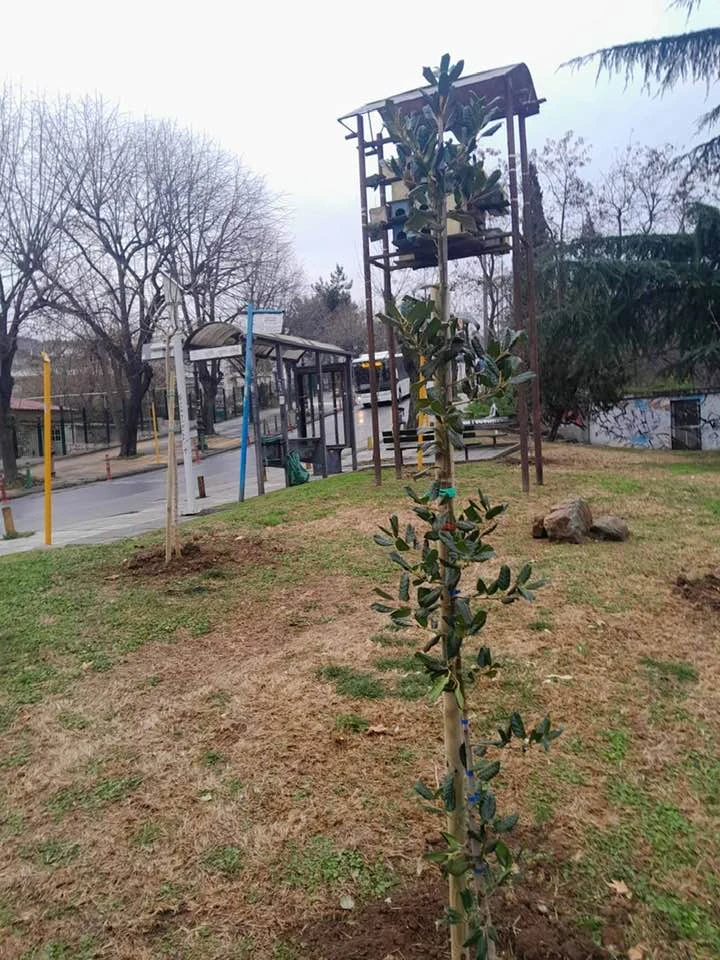 diamantakis-eyath1.jpg?v=0